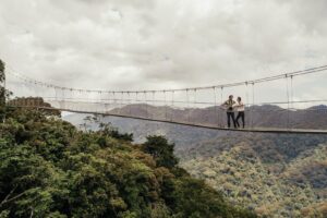 Rwanda Canopy Walk